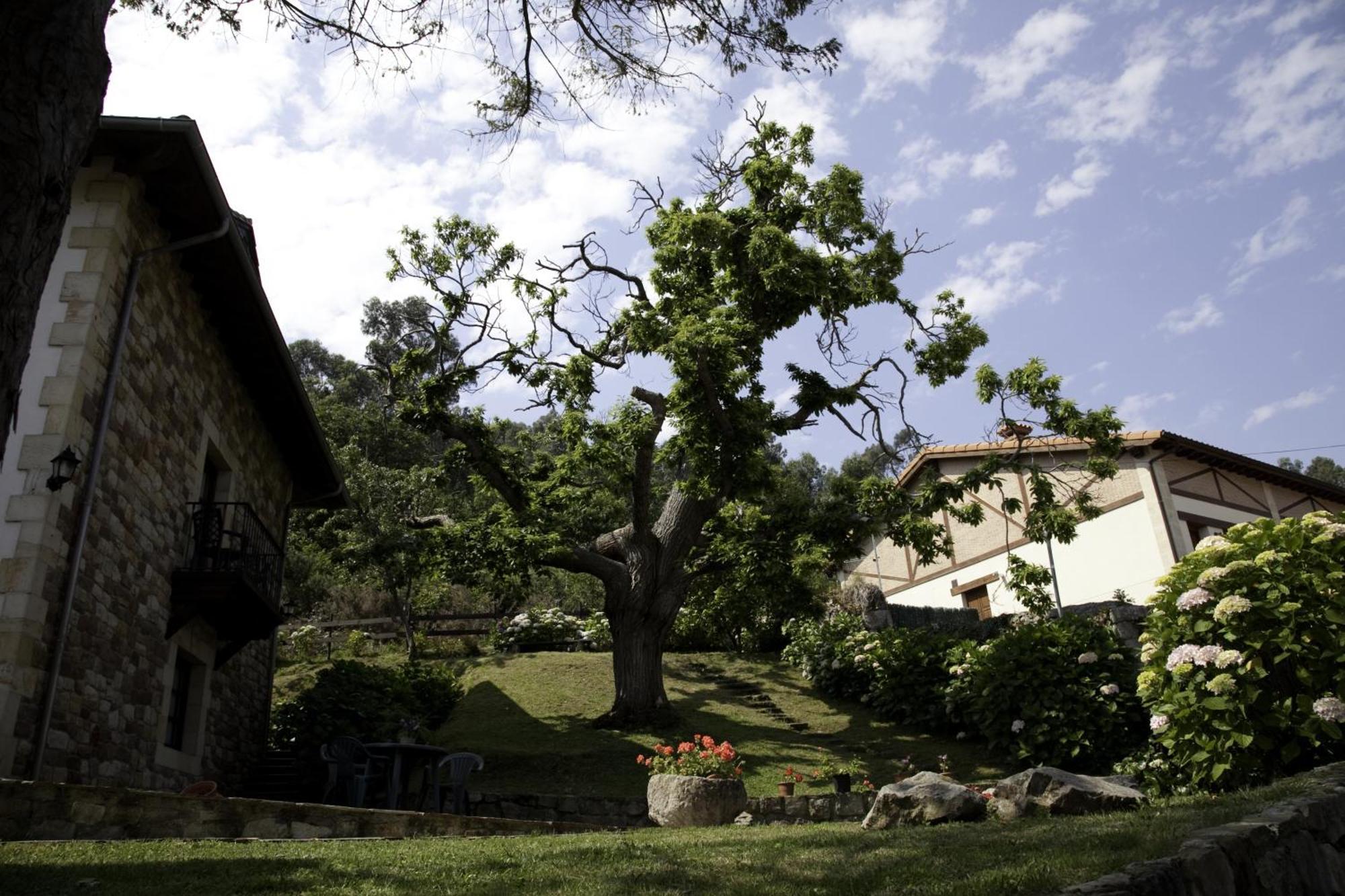 Posada Fuentedevilla Pechon Bagian luar foto
