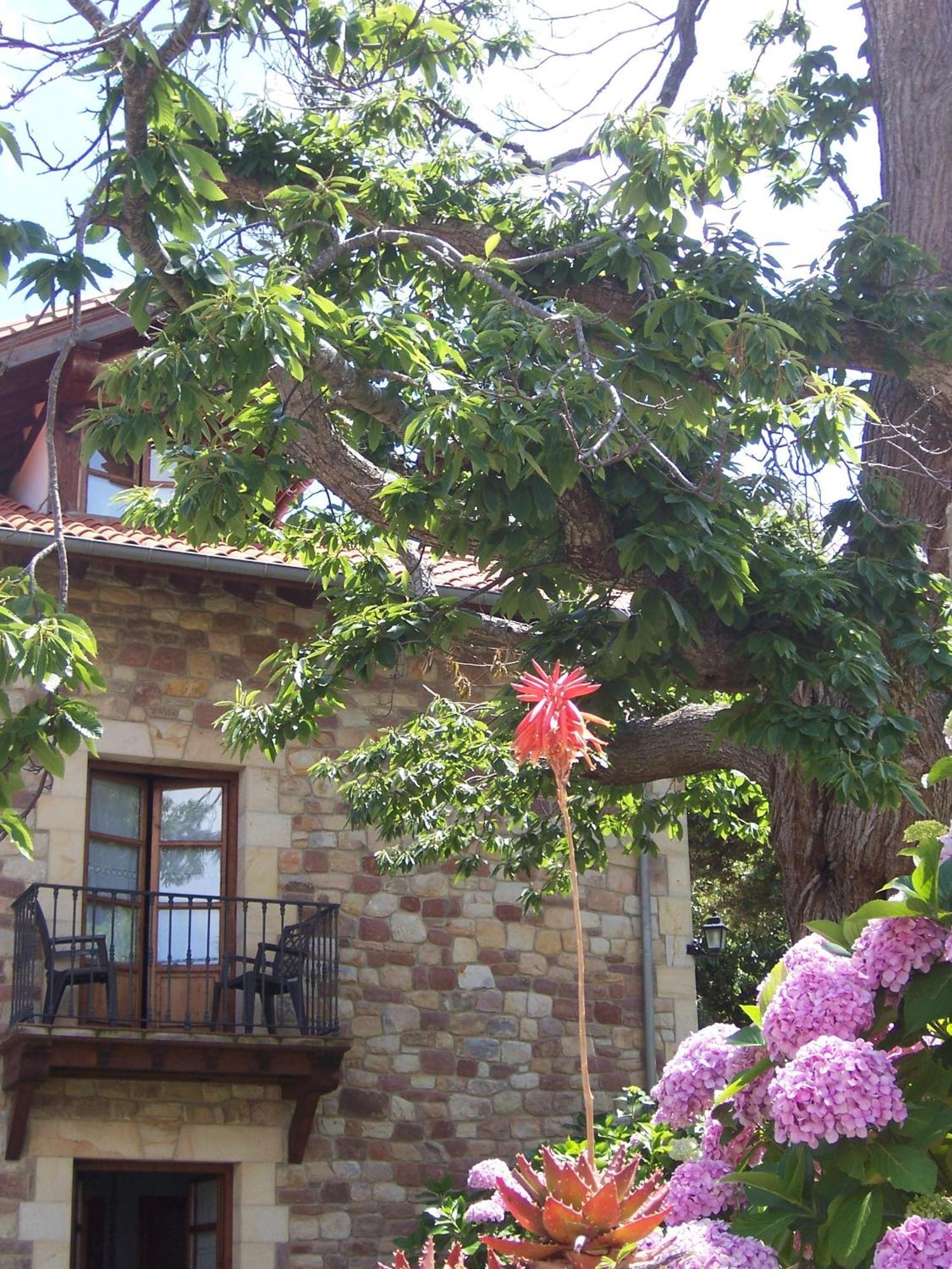 Posada Fuentedevilla Pechon Bagian luar foto
